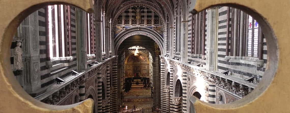 Siena Performance Trips